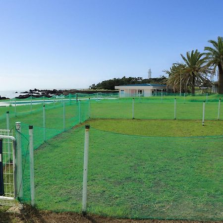 Shirahama Ocean Resort Chiba Eksteriør billede